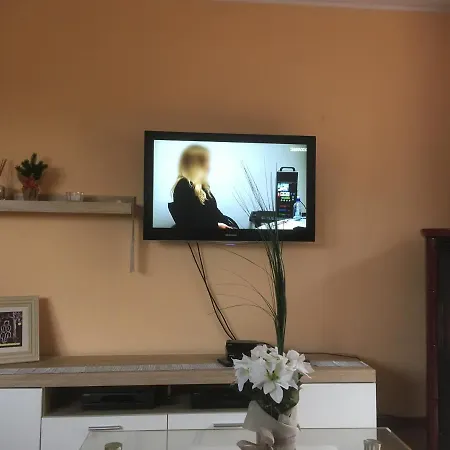 Aranyalma Panzio Vendégház *