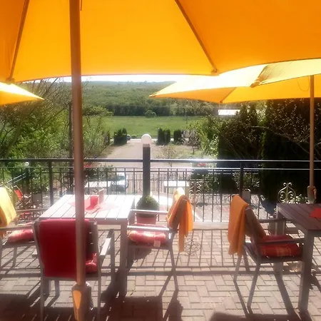 Aranyalma Panzio Maison d'hôtes