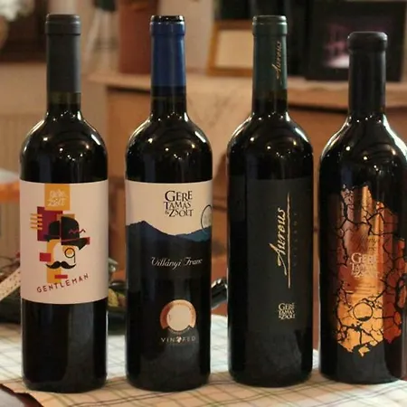 Aranyalma Panzio Maison d'hôtes Cserszegtomaj